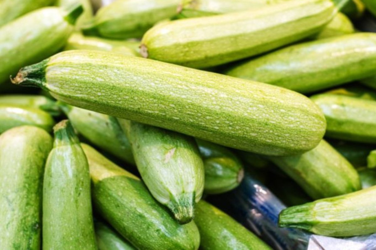 الكوسا المرّة: علامة خطر يجب ألا تتجاهلها.. متى تصبح سامة وتُهدد صحتك؟