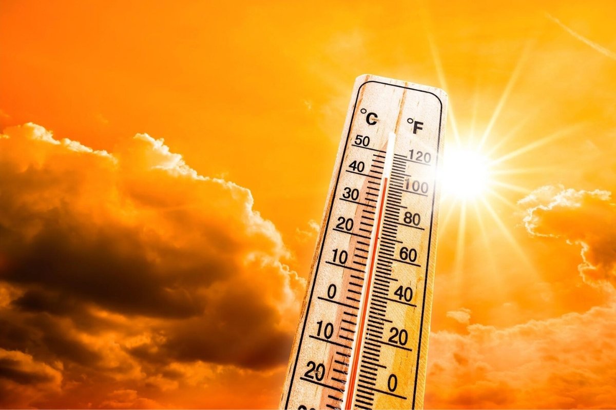إنذار الأرصاد: العد التنازلي بدأ.. السعودية على موعد مع صيف لاهب خلال أيام!