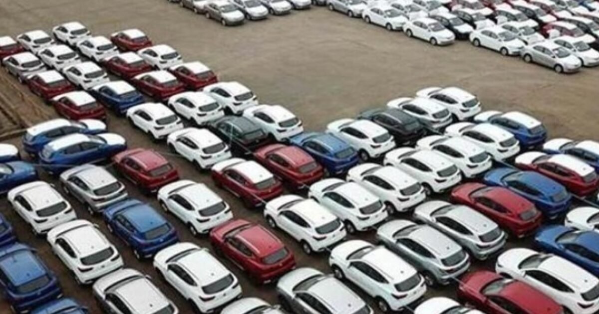 خبر سار للمستوردين: مصر تعلن عن قرارات جديدة لتسهيل استيراد السيارات الأمريكية والألبان