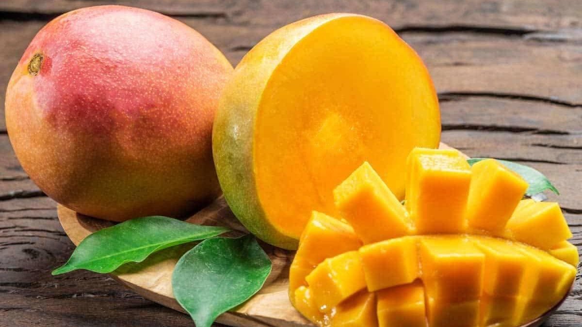 قبل أن تتناول المانجو بكثرة.. تعرّف على الأضرار المحتملة لجسمك!