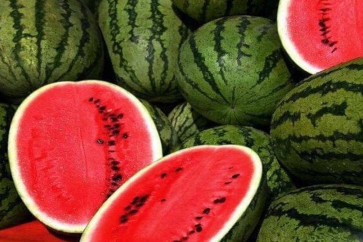 ليس مجرد فاكهة منعشة: اكتشف 5 مميزات للبطيخ واحذر من 3 أضرار خفية