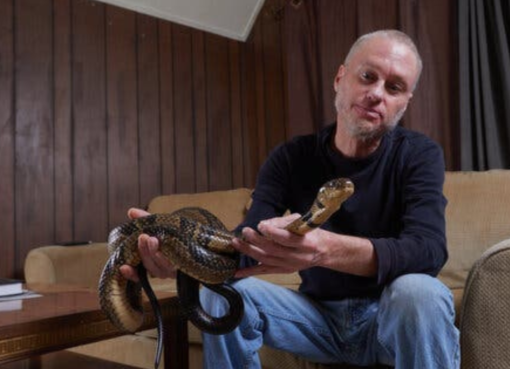 مناعة ضد الموت.. كيف نجح تيم فريدي في مقاومة أخطر سموم الأفاعي؟