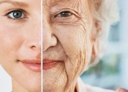 فاكهة سحرية تكافح الشيخوخة وتحمي بصرك—اكتشف السر الصحي المذهل!