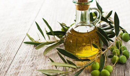 اكتشف فوائد زيت الزيتون ولبان الدكر لصحة الجسم والعظام