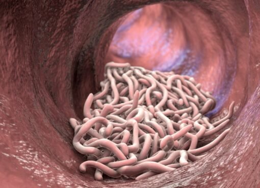 وداعًا للديدان: مشروب بسيط يخلصك منها نهائيًا!