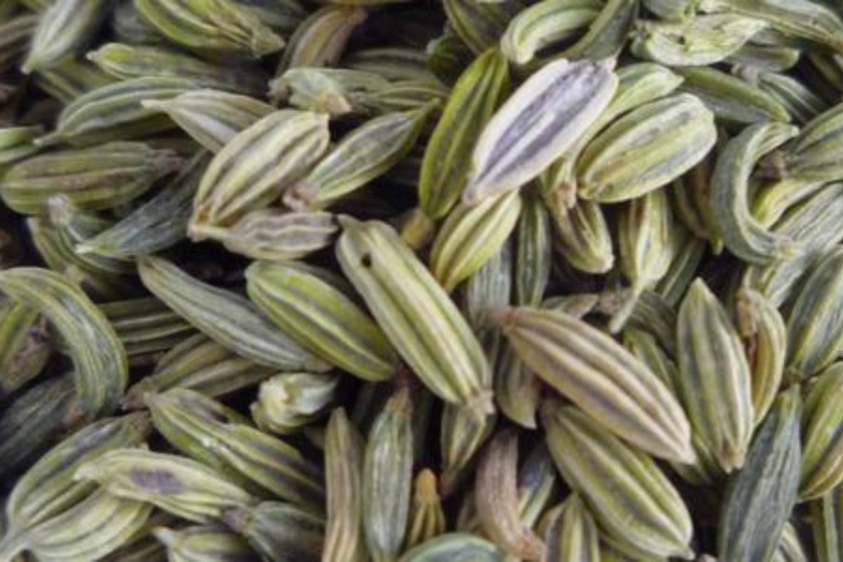 وداعًا للإمساك والبواسير! اكتشف العشبة الطبيعية التي تعالج القولون في 3 أيام فقط