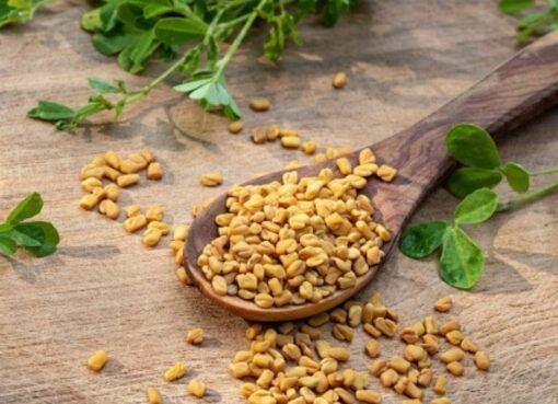 في مطبخك الحل.. بذور معجزة توازن السكر وتطهر الكلى دون أدوية