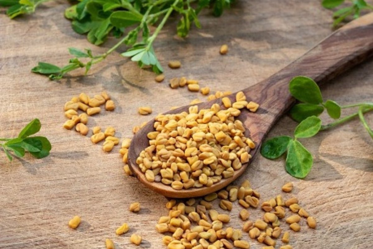 في مطبخك الحل.. بذور معجزة توازن السكر وتطهر الكلى دون أدوية
