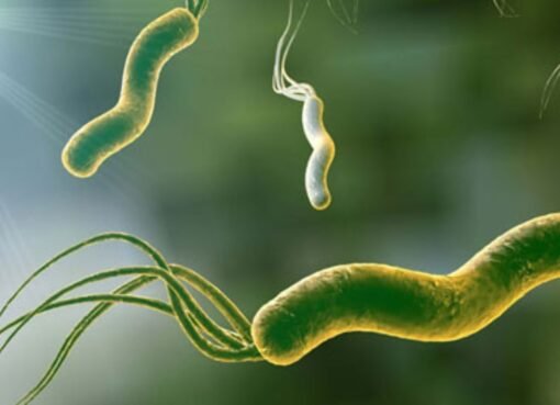 جرثومة المعدة: 3 أعراض فور الاستيقاظ تكشف إصابتك... لا تتجاهلها!