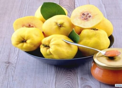 فاكهة تنقذك من السكري والوزن الزائد… وسعرها لا يُصدق!