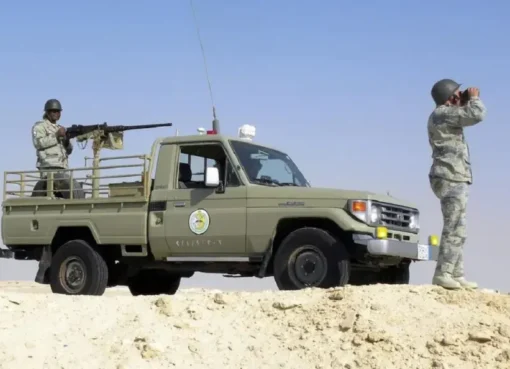 إحباط تهريب قات في المملكة.. توقيف يمنيين وإثيوبيين تورطوا في العملية