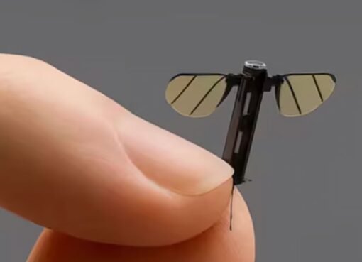 ثورة في عالم التجسس.. طائرة صينية بحجم بعوضة تثير الدهشة