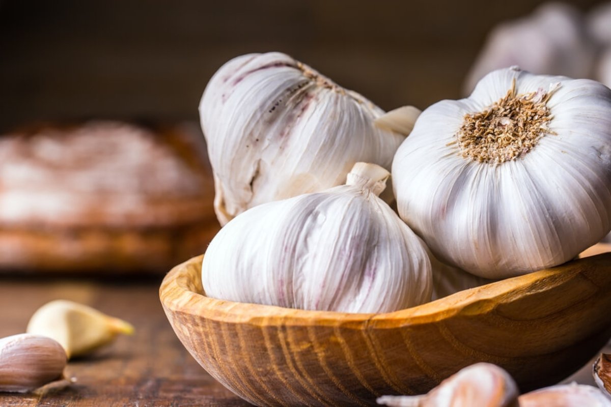 فص واحد على الريق يغيّر حياتك.. تعرف على فوائد الثوم في الوقاية من السرطان