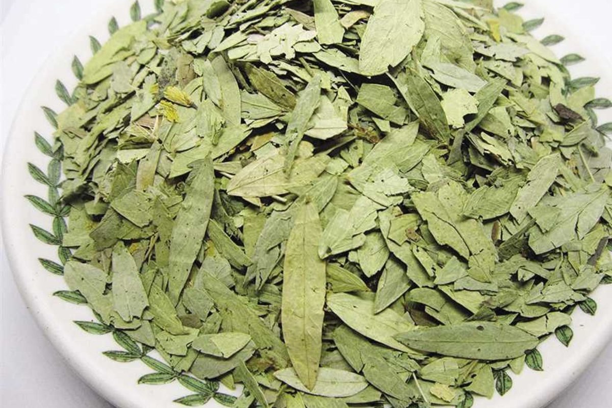 كنز في مطبخك: عشبة خارقة لتنظيف القولون في أقل من 5 دقائق!