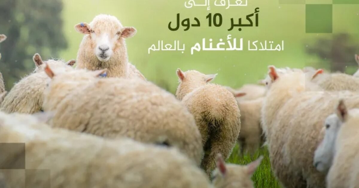 أكبر 10 دول في امتلاك الأغنام عالميًا.. بلد عربي في القائمة
