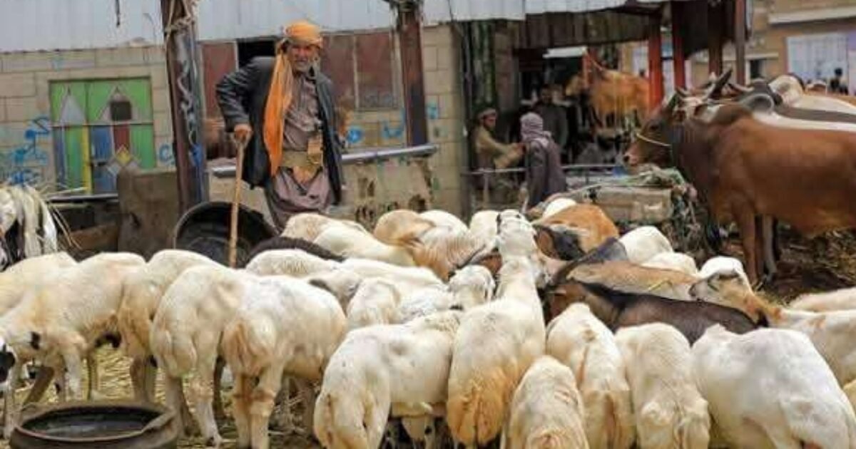 ظروف استثنائية تمنع رئيس الانتقالي من التضحية بالعيد في عدن