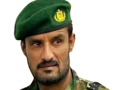 قيادي انتقالي يتهم الشرعية بالتقصير ويصف تربة تعز بأنها "بؤرة إرهابية