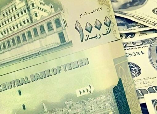 اقتصادي بارز يكشف عن الحل الوحيدة لإنقاذ العملة من الانهيار