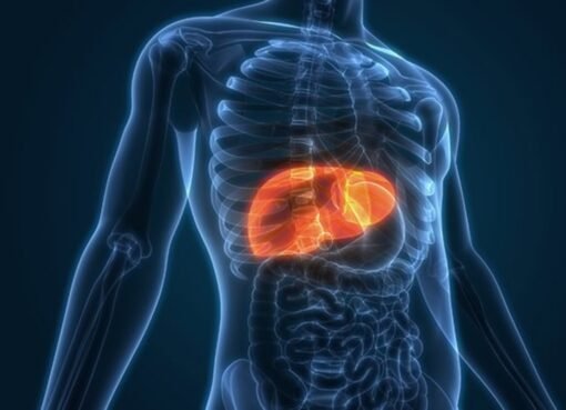 5 مؤشرات على تعافي الكبد من الدهون المتراكمة