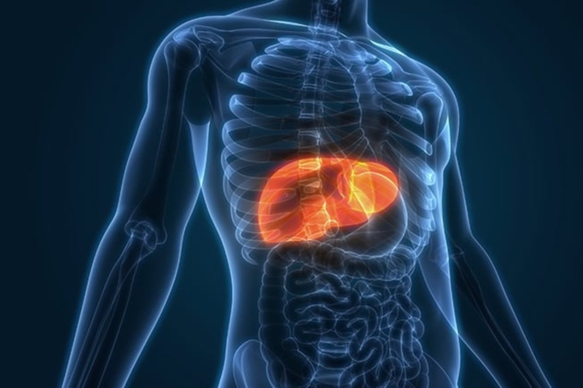 5 مؤشرات على تعافي الكبد من الدهون المتراكمة