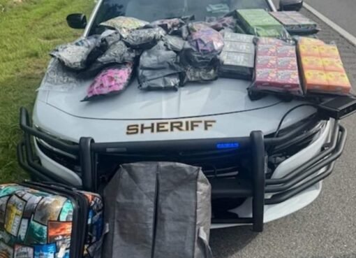 السلطات الأمريكية تضبط كمية من البانجو والقات بحوزة شابين يمنيين السلطات الأمريكية تضبط كمية من البانجو والقات بحوزة شابين يمنيين