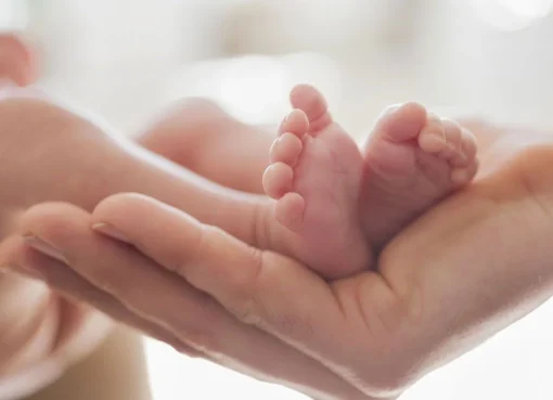 علماء يفجرون مفاجأة: هذا المكون الخفي قد يمنع الإنجاب علماء يفجرون مفاجأة: هذا المكون الخفي قد يمنع الإنجاب