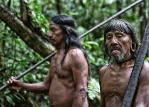 اكتشاف قبيلة كورواي: منازل فوق الأشجار وعادات غريبة تذهل الباحثين