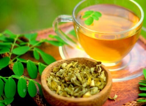 لا تعتمد عليها طبيًا.. النمر يحذر من استخدام المورينجا لعلاج الضغط والسكري