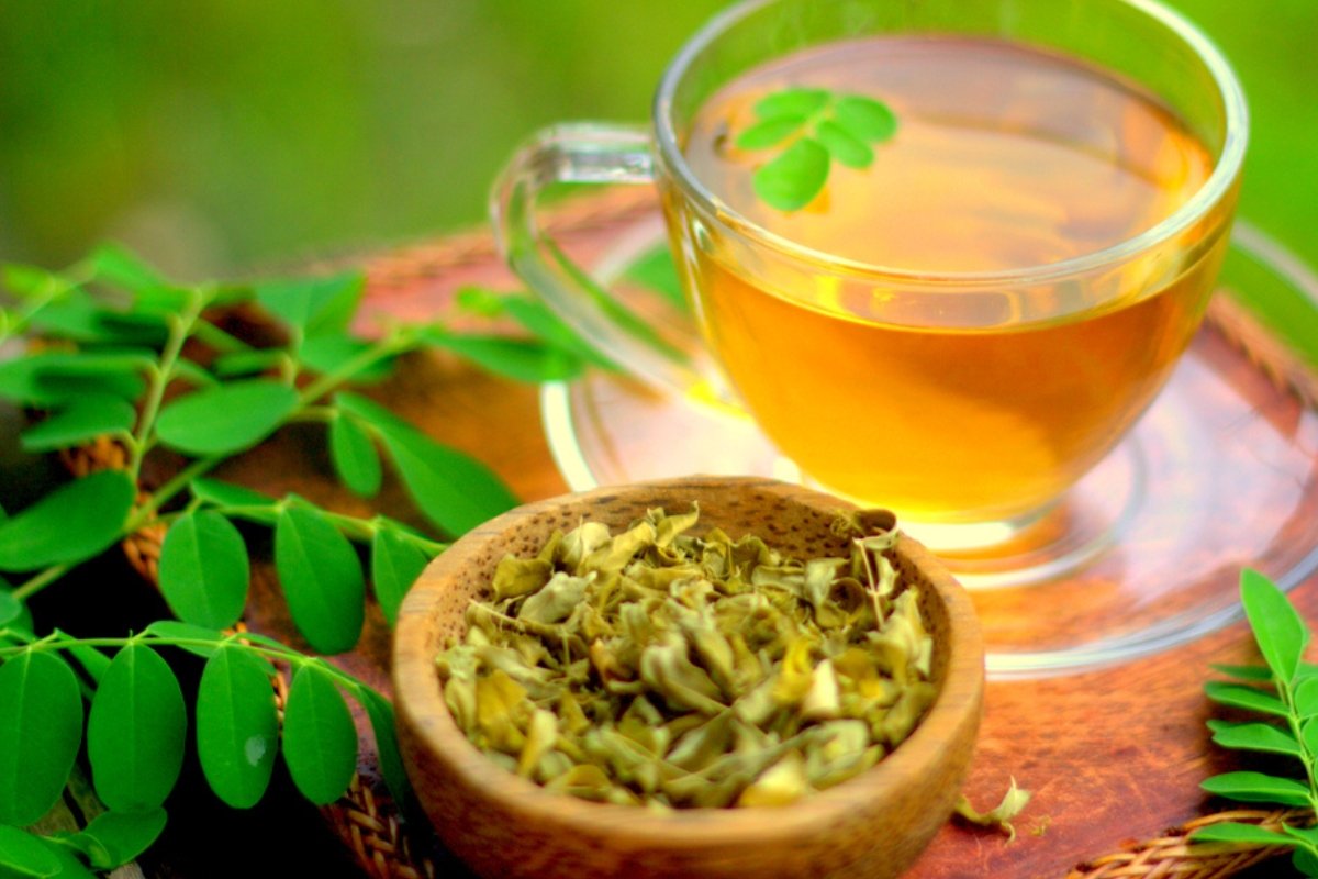 لا تعتمد عليها طبيًا.. النمر يحذر من استخدام المورينجا لعلاج الضغط والسكري