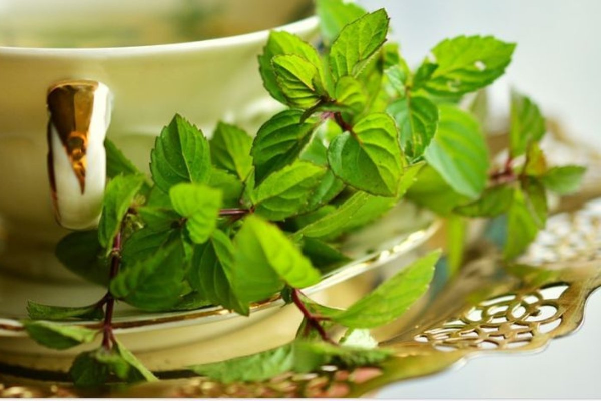 مشروب سحري بلا كافيين: يخفض ضغط الدم ويحسّن أداء الدماغ!