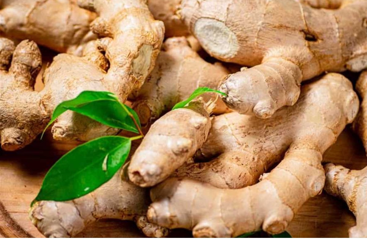 أعشاب تقلل من السكر في الدم والسكر التراكمي.. مفعولها زي السحر