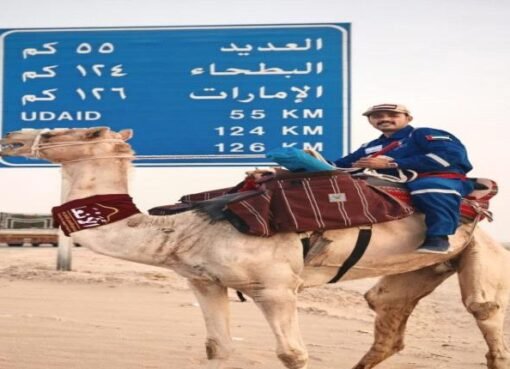 رحّالة يمني يتحدى الحدود: من صحاري اليمن إلى فضاء الخليج برسالة وجَمل