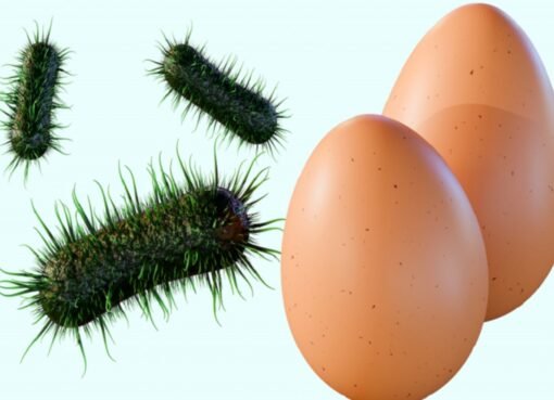 بيض "صحي" يتحول إلى خطر قاتل.. وهذه العلامات التجارية المتورطة