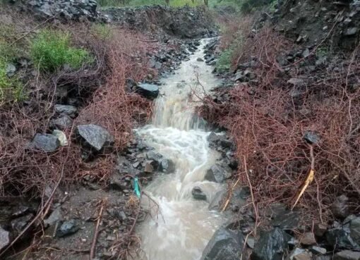 أخبار سارة من مراكز الأرصاد: الأمطار تمتد إلى مناطق واسعة خلال الأيام القادمة