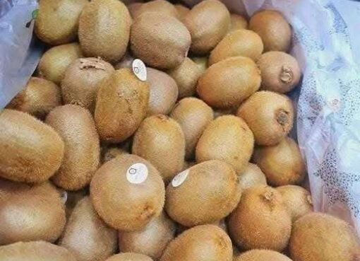 ارتفاع جنوني بأسعار هذا الفاكهة في عدن.. والمواطنون يطالبون بالتدخل