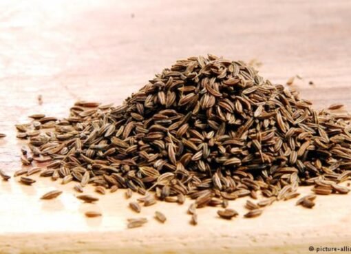 فوائد لا تُصدق في مشروب واحد: الكمون المنقوع صباحًا