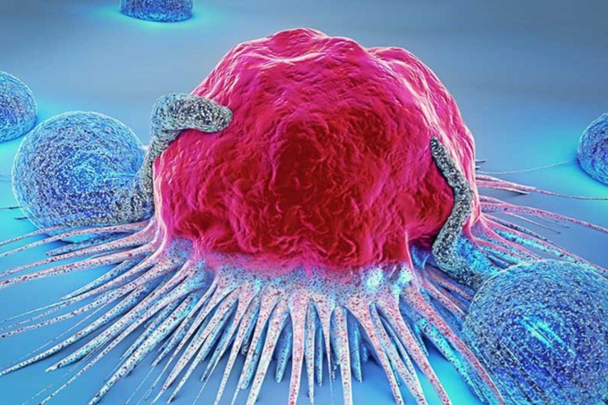 مفاجأة علمية: مادة نباتية معروفة بالبصر تُظهر فعالية ضد السرطان