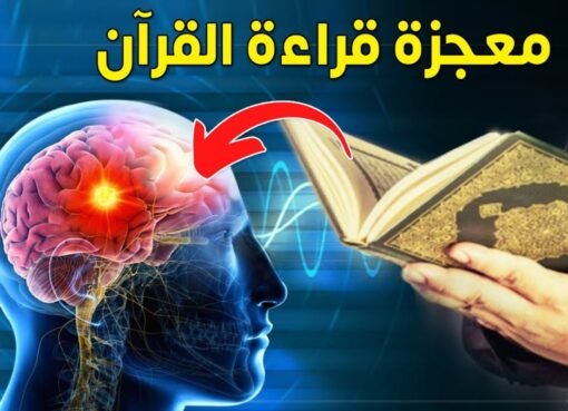 معجزة قرآنية علمية.. سورة الفاتحة تُحدث تغييرات فسيولوجية في الدماغ خلال دقائق! معجزة قرآنية علمية.. سورة الفاتحة تُحدث تغييرات فسيولوجية في الدماغ خلال دقائق!