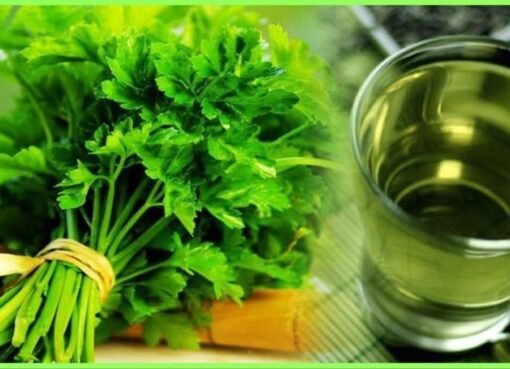 عشبة خضراء متوفرة في كل بيت تنظف الشرايين وتخفض ضغط الدم وتمنع الجلطات خلال أيام فقط؟!