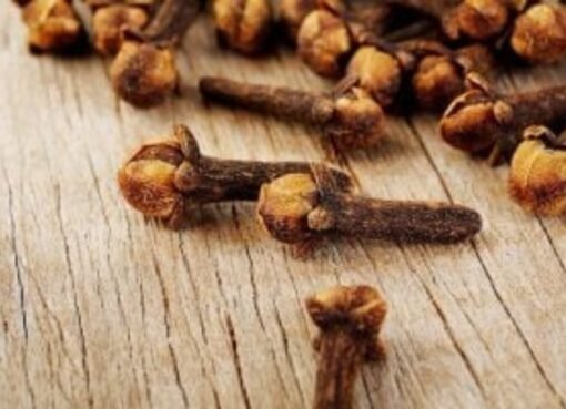 احذروا القرنفل 5 حالات صحية يُمنع فيها استخدامه تمامًا