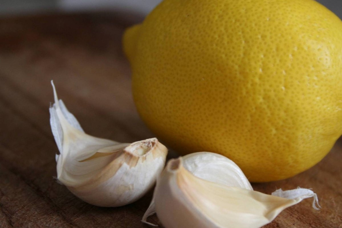معجزة الليمون والثوم.. وصفة استخدمها الملوك لعلاج 16 مرضًا!