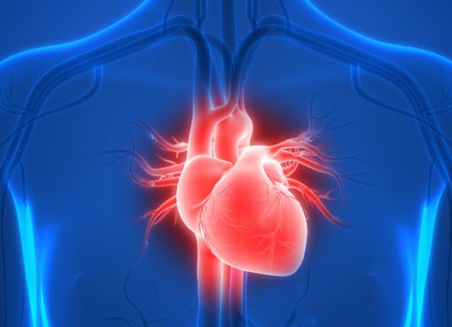 هل يمكن أن يهاجم السرطان القلب؟.. طبيب يوضح الحقيقة الكاملة