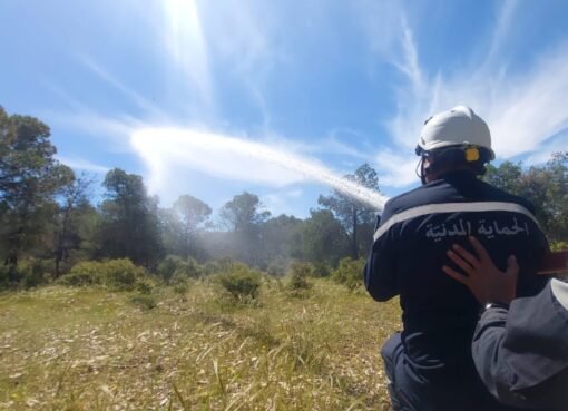 عاجل: الصين تسجل أكثر من 7,000 إصابة بفيروس شيكونغونيا وسط مخاوف من انتشاره عالميًا