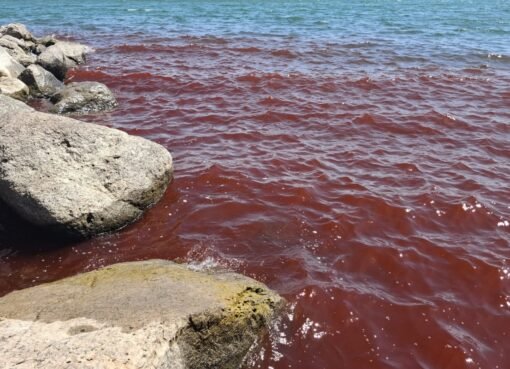 مياه طبريا تتحول إلى دم.. مشهد يثير الذعر والتكهنات الدينية