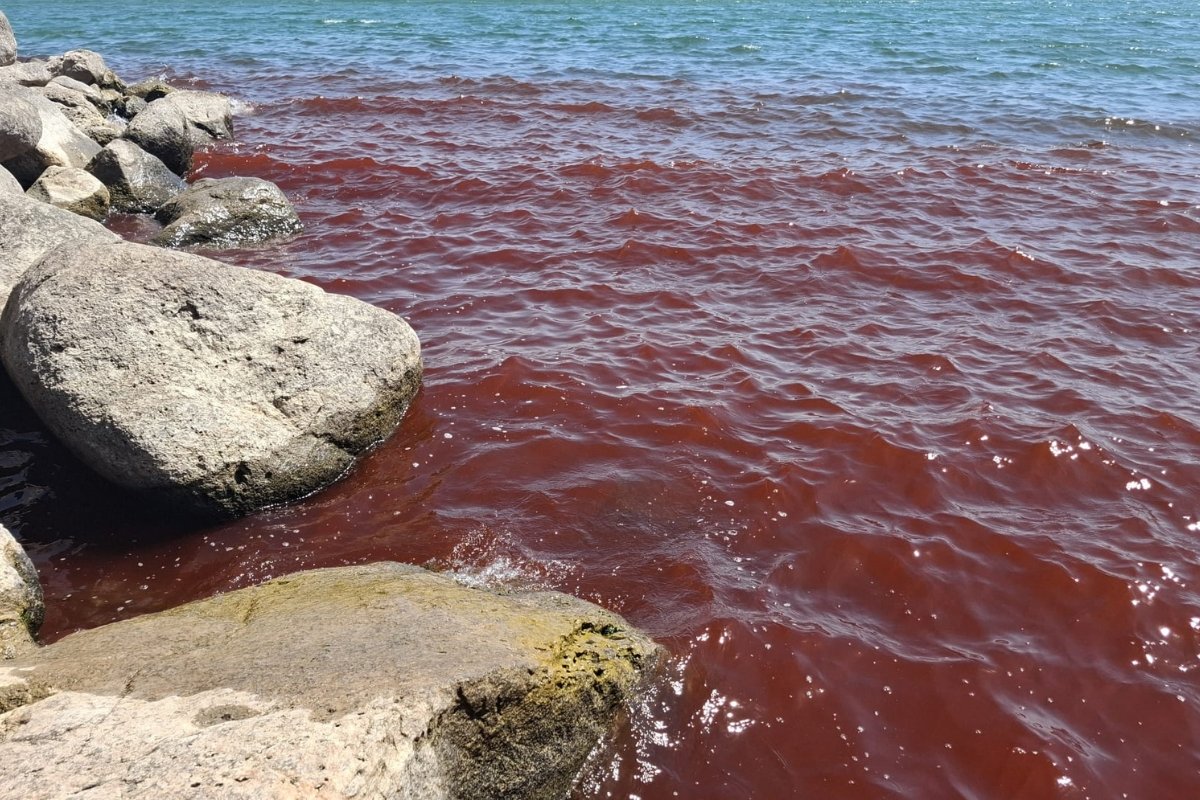 مياه طبريا تتحول إلى دم.. مشهد يثير الذعر والتكهنات الدينية