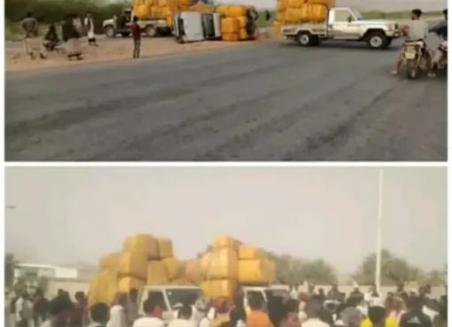 حظر القات يدخل حيز التنفيذ في الجنوب.. مصادرة وإتلاف للمخالفين