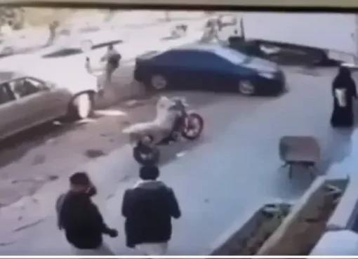 لحظة إنقاذ بطولية.. أب يمني يتدخل في الثانية الأخيرة لحماية طفله من حادث دهس