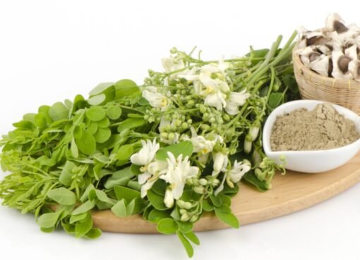 اكتشاف مذهل: عشبة تتفوق على الإنسولين مليون مرة في خفض السكر التراكمي!