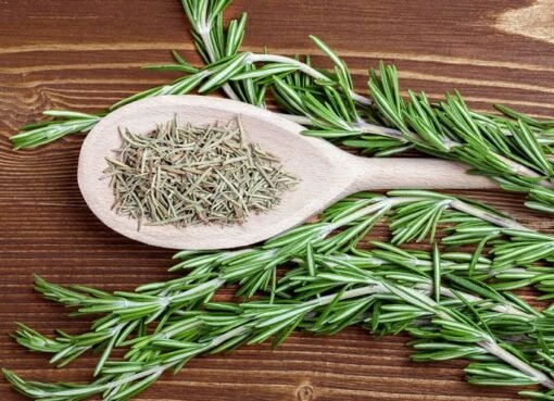 وداعًا لتساقط الشعر! وصفة عشبية مدعومة بالأبحاث