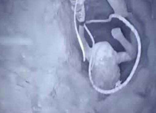 قصة أمل وسط الألم.. لحظة إخراج الطفل علي عبدي من بئر عمقه 50 متراً